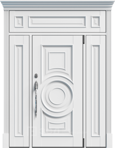 Фото «Двухстворчатая дверь для частного дома №7»