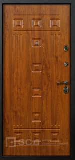 Фото «Дверь с шумоизоляцией №48»